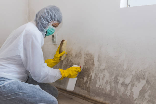 Best Asbestos and Lead Testing During Mold Inspection  in Middletown, NY