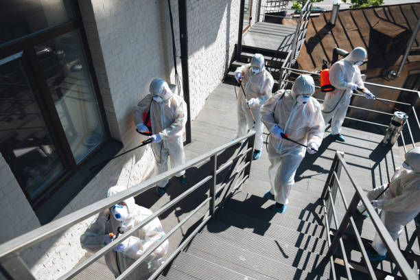 Reliable Middletown, NY Mold Removal Solutions