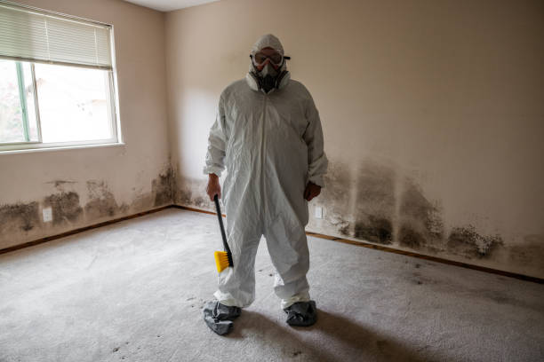 Best Mold Remediation for Healthcare Facilities  in Middletown, NY
